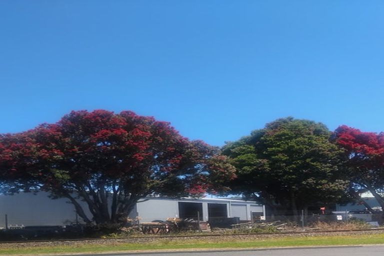 Photo of property in 117/3 Heads Road, Gonville, Whanganui, 4501