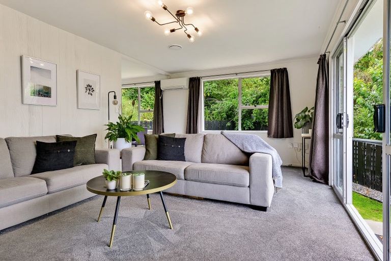 Photo of property in 36a Rothesay Place, Dinsdale, Hamilton, 3204