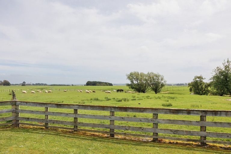 Photo of property in 1193 Taonui Road, Colyton, Feilding, 4775