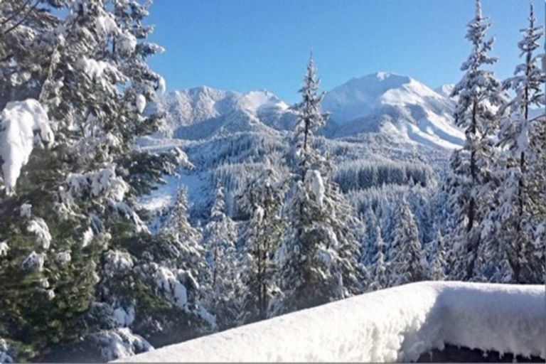 Photo of property in 74 Mount Lyford Forest Drive, Lyford, Waiau, 7395