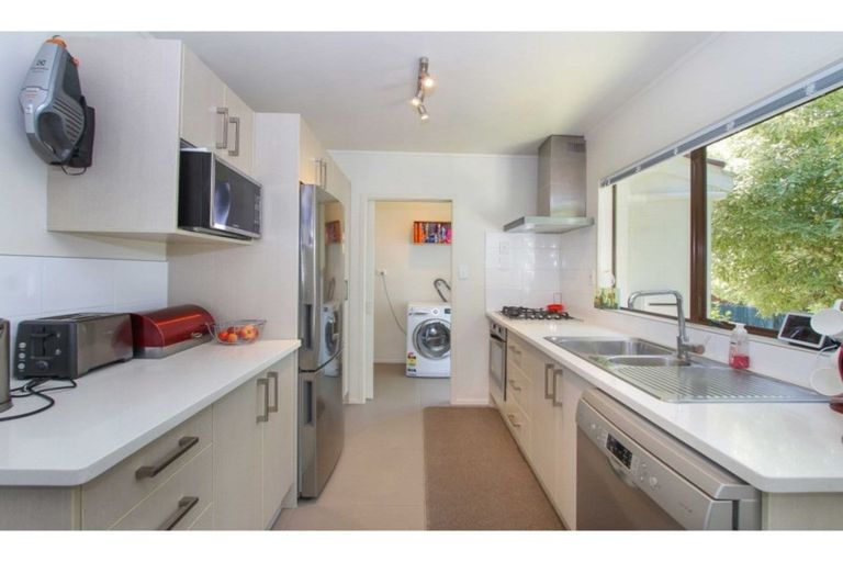 Photo of property in 1/7 Mannering Place, Hillcrest, Auckland, 0627