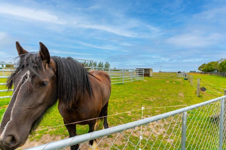 Photo of property in 180 Daniels Road, Salisbury, Timaru, 7971