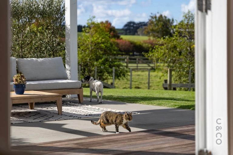 Photo of property in 79 Mount Albion Rise, Taupaki, Henderson, 0782