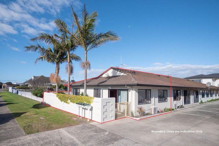 Photo of property in 8a Heath Street, Mount Maunganui, 3116