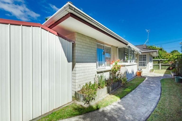 Photo of property in 5a Webber Street, Paraparaumu Beach, Paraparaumu, 5032