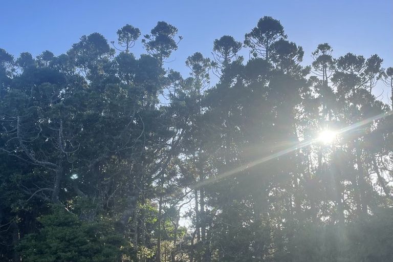 Photo of property in 24 Te Wairoa Lane, Tinopai, 0593