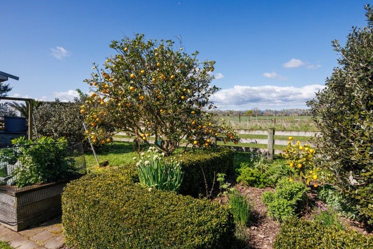 Photo of property in 136 Newbury Line, Newbury, Palmerston North, 4478