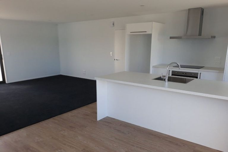 Photo of property in 53 William Nicholls Drive, Belfast, Christchurch, 8051