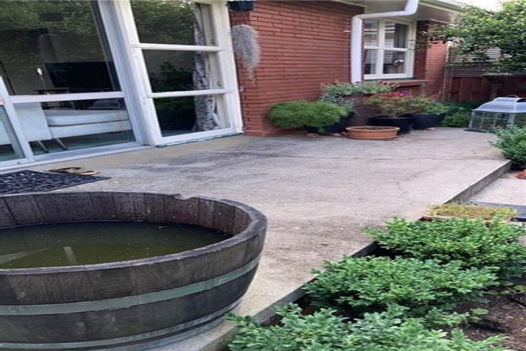 Photo of property in 43b Sillary Street, Hamilton East, Hamilton, 3216