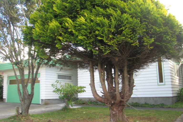 Photo of property in 160 Mitchell Street, Brooklyn, Wellington, 6021