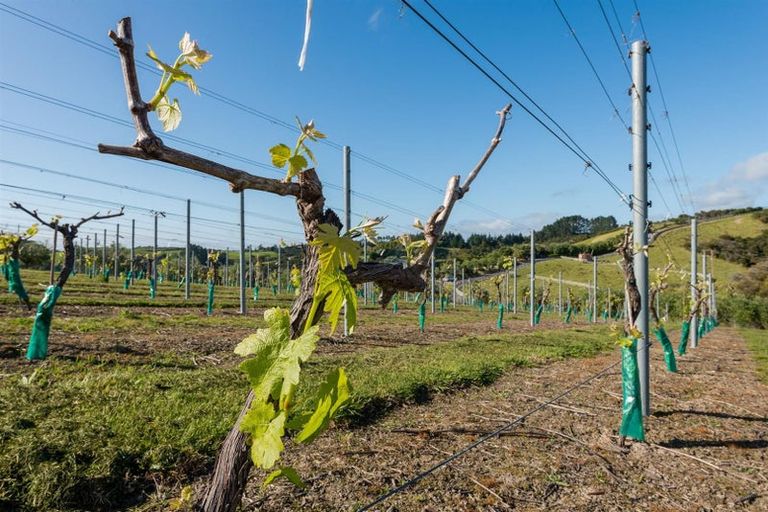 Photo of property in 89a Opito Bay Road, Kerikeri, 0294