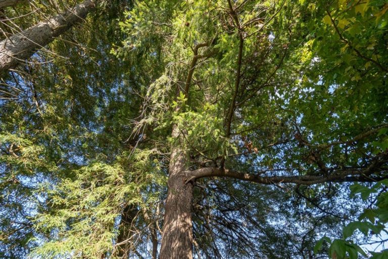 Photo of property in 1238 Opaki Kaiparoro Road, Mauriceville, Masterton, 5882