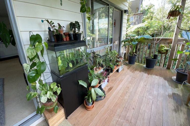 Photo of property in 7b Monarch Avenue, Hillcrest, Auckland, 0627