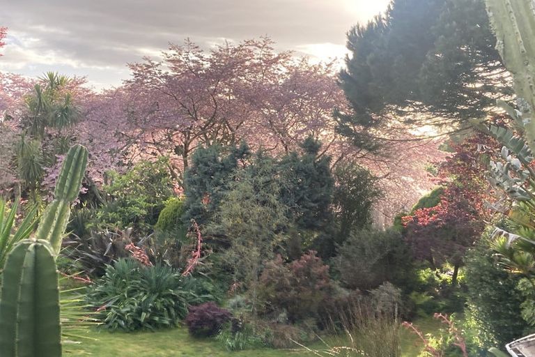 Photo of property in 125 Matangi Road, Matangi, Hamilton, 3284