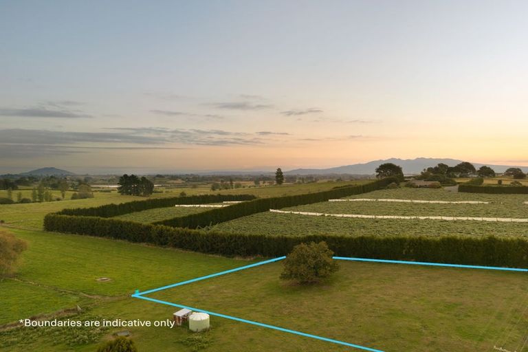 Photo of property in 55 Forkert Road, Ohaupo, 3803