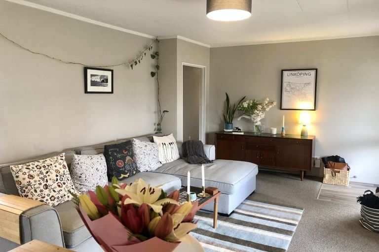 Photo of property in 52b Galloway Street, Hamilton East, Hamilton, 3216