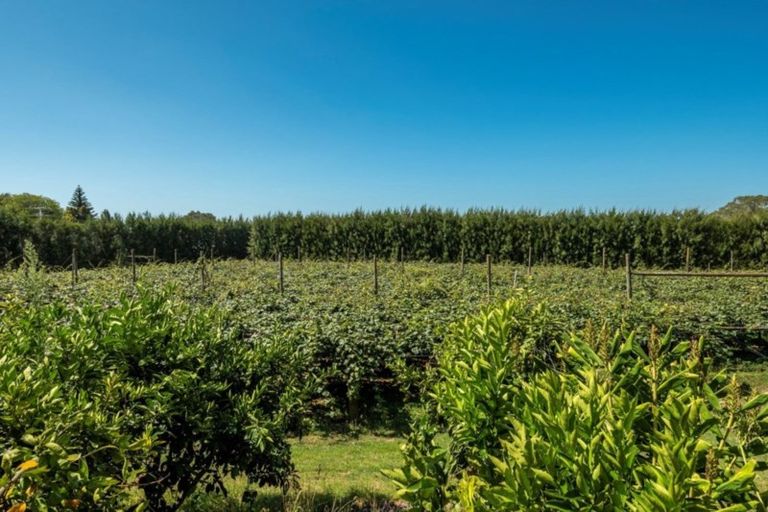 Photo of property in 78 Plummers Point Road, Whakamarama, Tauranga, 3172