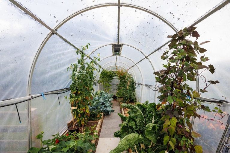 Photo of property in 407 Mount Curl Road, Hunterville, 4784