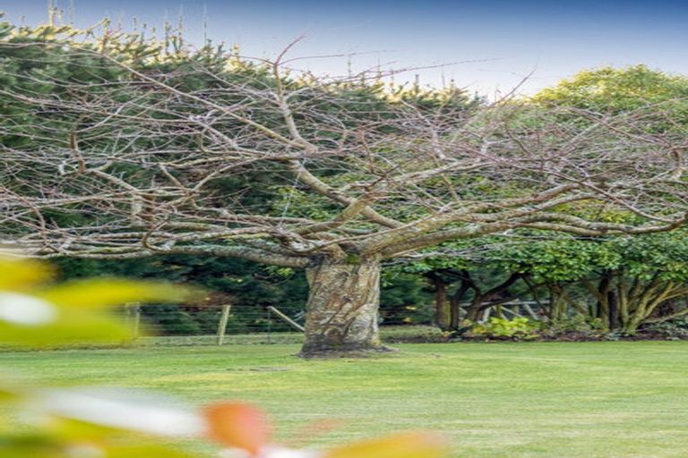 Photo of property in 29 Scarlet Oak Drive, West Melton, Christchurch, 7671