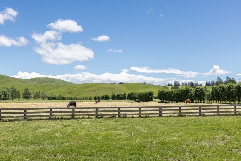 Photo of property in 1212 Ohiti Road, Crownthorpe, Hastings, 4179