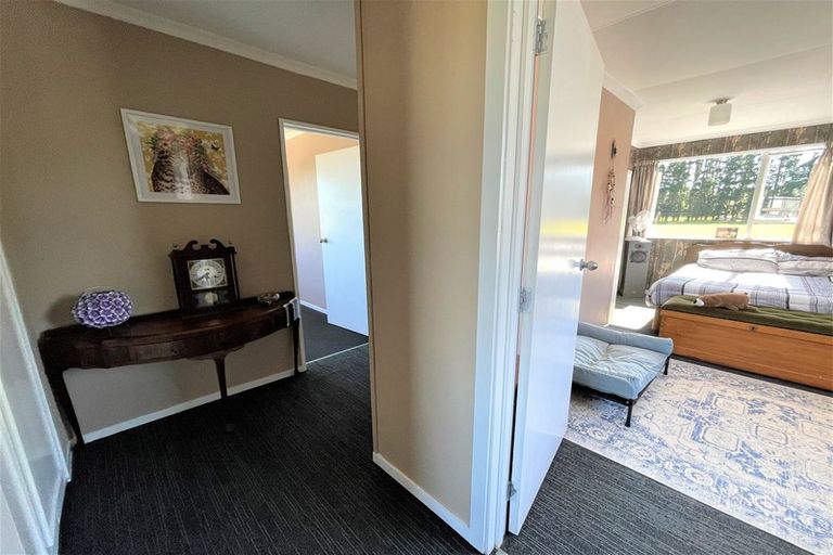 Photo of property in 3 Cherry Lane, Milton, 9220