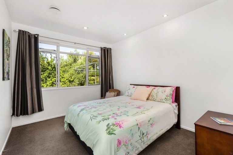 Photo of property in 244 Pencarrow Road, Tamahere, Hamilton, 3283