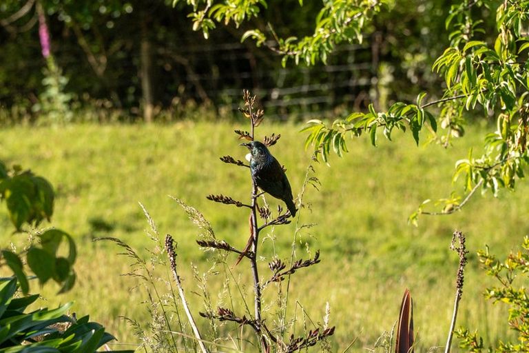 Photo of property in 100 Rocklands Road, Clifton, Takaka, 7183