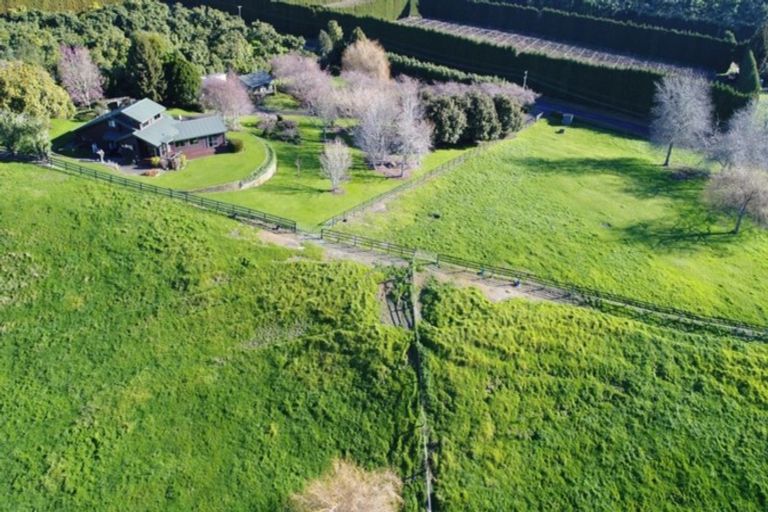 Photo of property in 131 Hereford Road, Oropi, Tauranga, 3173