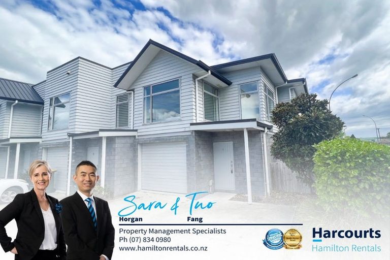 Photo of property in 1/215 Massey Street, Frankton, Hamilton, 3204