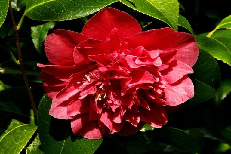 Photo of property in 20 Scotland Street, Picton, 7220