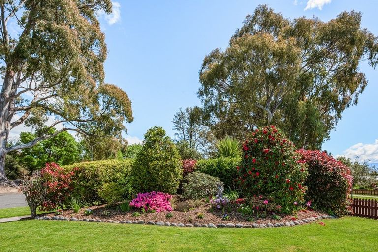 Photo of property in 2 Morrington Terrace, Witherlea, Blenheim, 7201