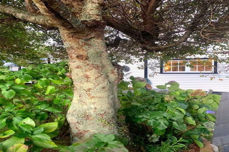 Photo of property in 73 Wallath Road, Westown, New Plymouth, 4310