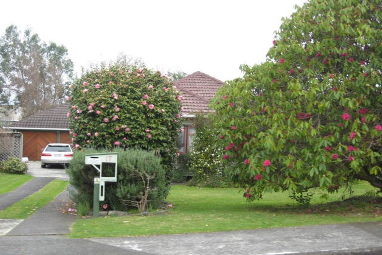 Photo of property in 17 Chester Street, Levin, 5510