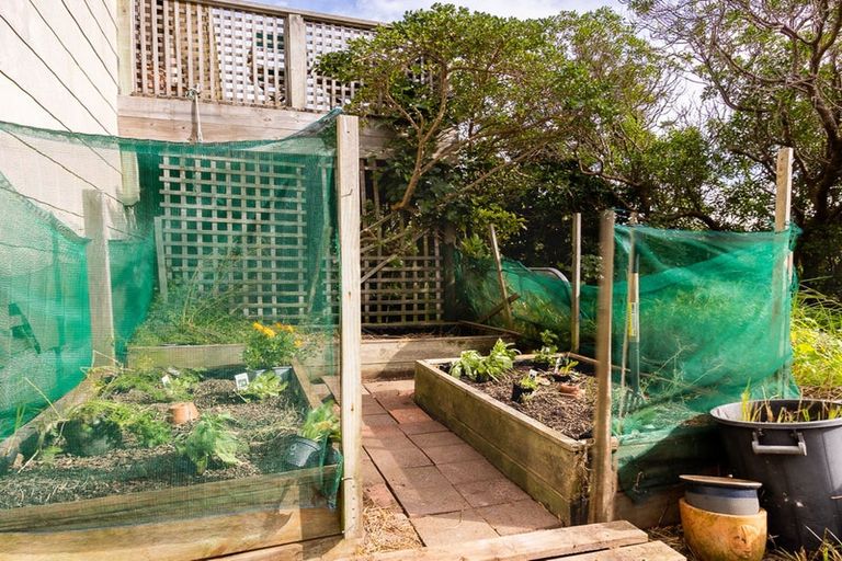 Photo of property in 59 Matatiro Street, Titahi Bay, Porirua, 5022