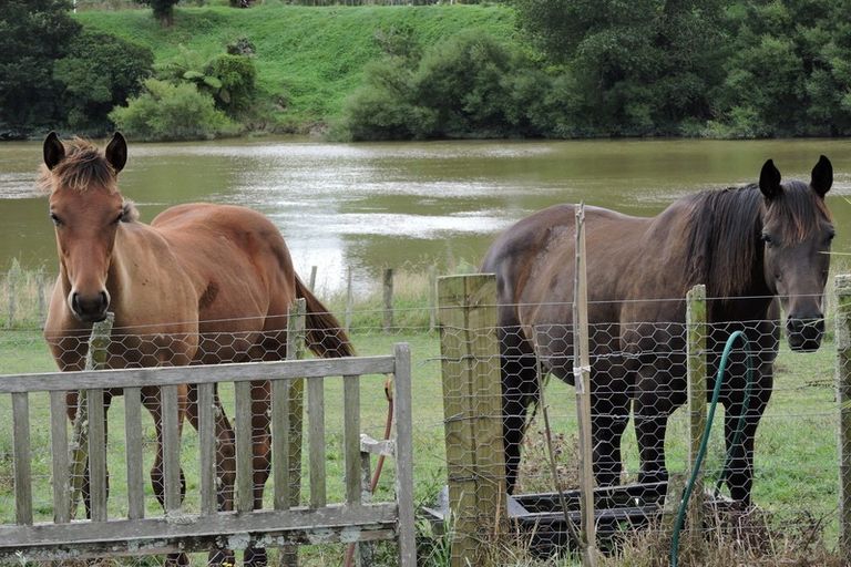 Photo of property in 71 State Highway 4, Okoia, Whanganui, 4573
