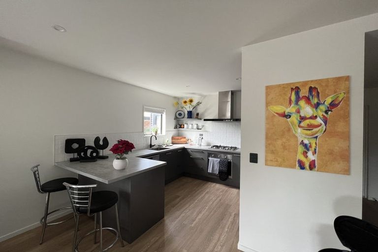 Photo of property in 17 Shearer Avenue, Papanui, Christchurch, 8052