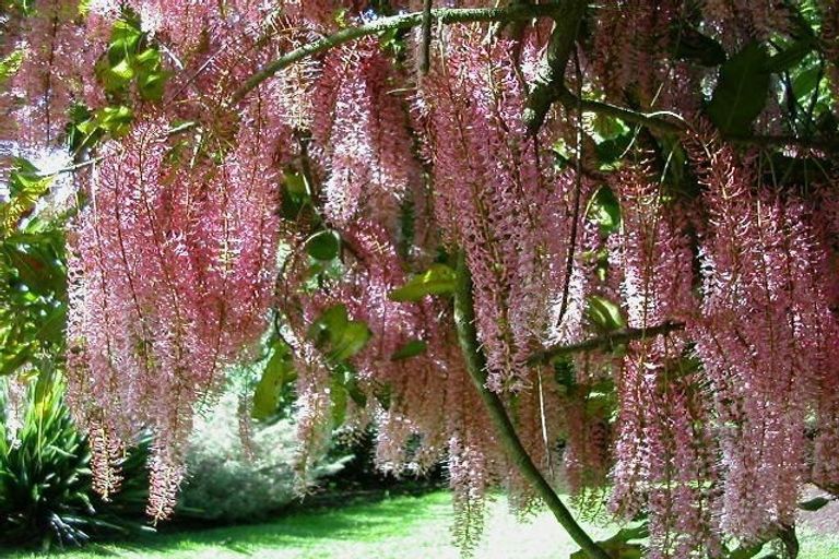 Photo of property in 940 South Head Road, South Head, Helensville, 0874