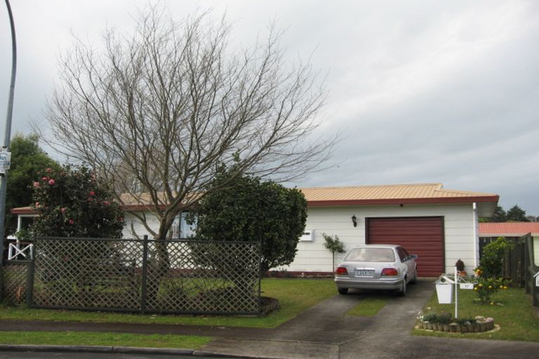 Photo of property in 17 Rigter Place, Enderley, Hamilton, 3214