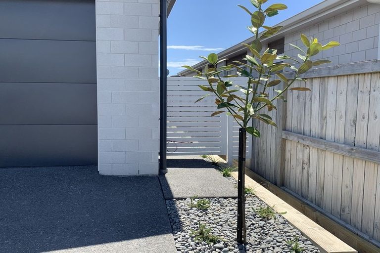 Photo of property in 51 Saint Pauls Drive, Brookfield, Tauranga, 3110