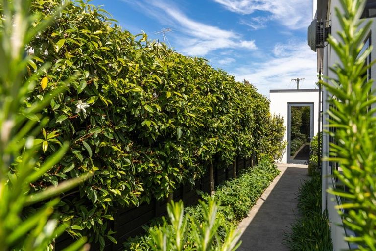 Photo of property in 24b Lakings Road, Springlands, Blenheim, 7201