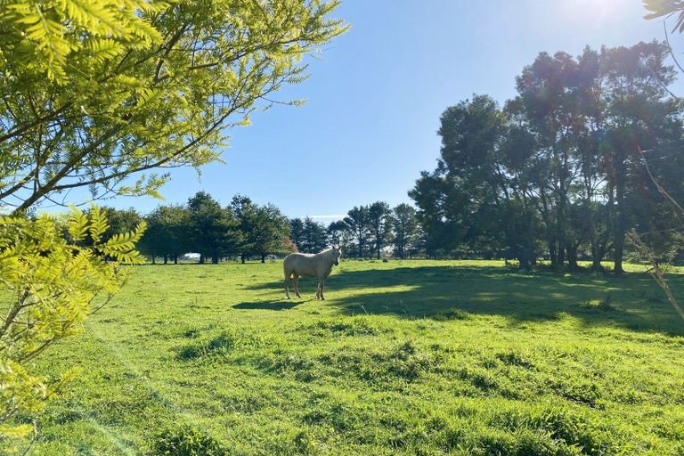 Photo of property in 258 Gladstone Road, Levin, 5571