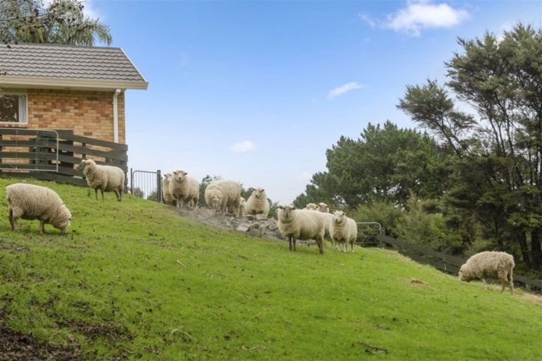 Photo of property in 1170 East Coast Road, Redvale, Albany, 0794