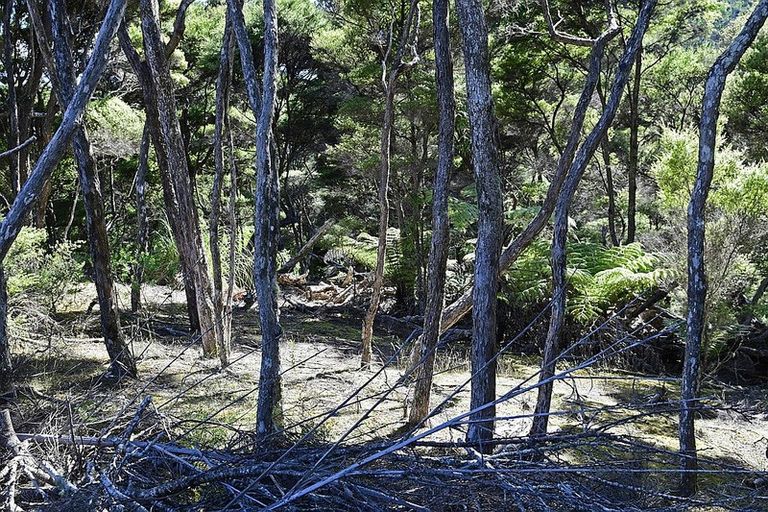 Photo of property in 6 Lavinia Place, Kawau Island, 0920