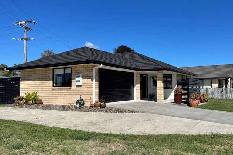 Photo of property in 1 Sargent Place, Otorohanga, 3900