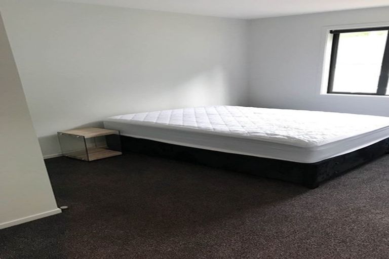 Photo of property in 31a Malvern Street, Woodhaugh, Dunedin, 9010