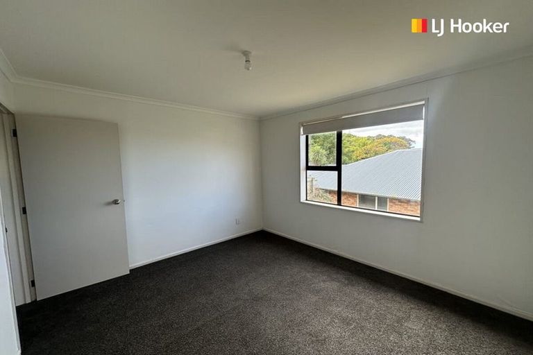 Photo of property in 3 Ballance Street, Caversham, Dunedin, 9011