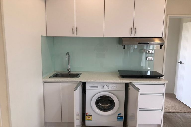 Photo of property in 20 Drumbuoy Drive, Flat Bush, Auckland, 2019