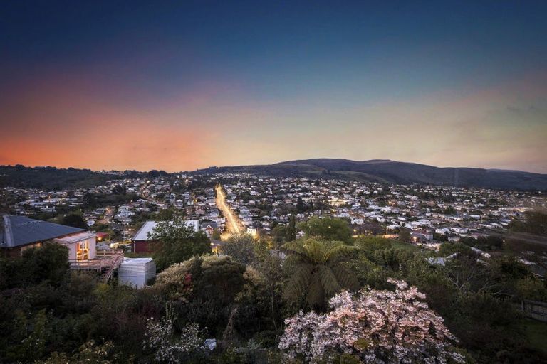 Photo of property in 28 Ann Street, Roslyn, Dunedin, 9010