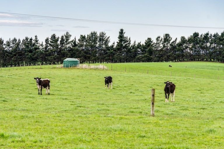 Photo of property in 1025 Aorangi Road, Maraekakaho, Hastings, 4171