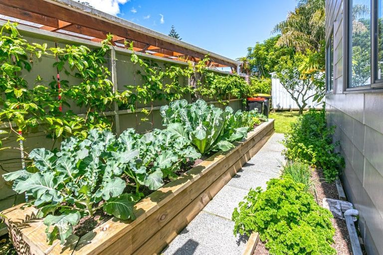 Photo of property in 225 Moana Anu Anu Avenue, Whangamata, 3620